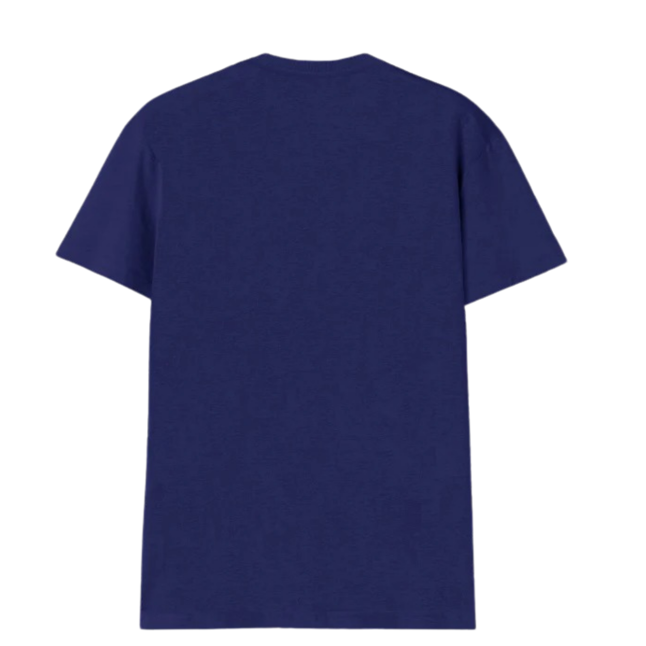 Premahs Cotton V Neck T-Shirt for Women