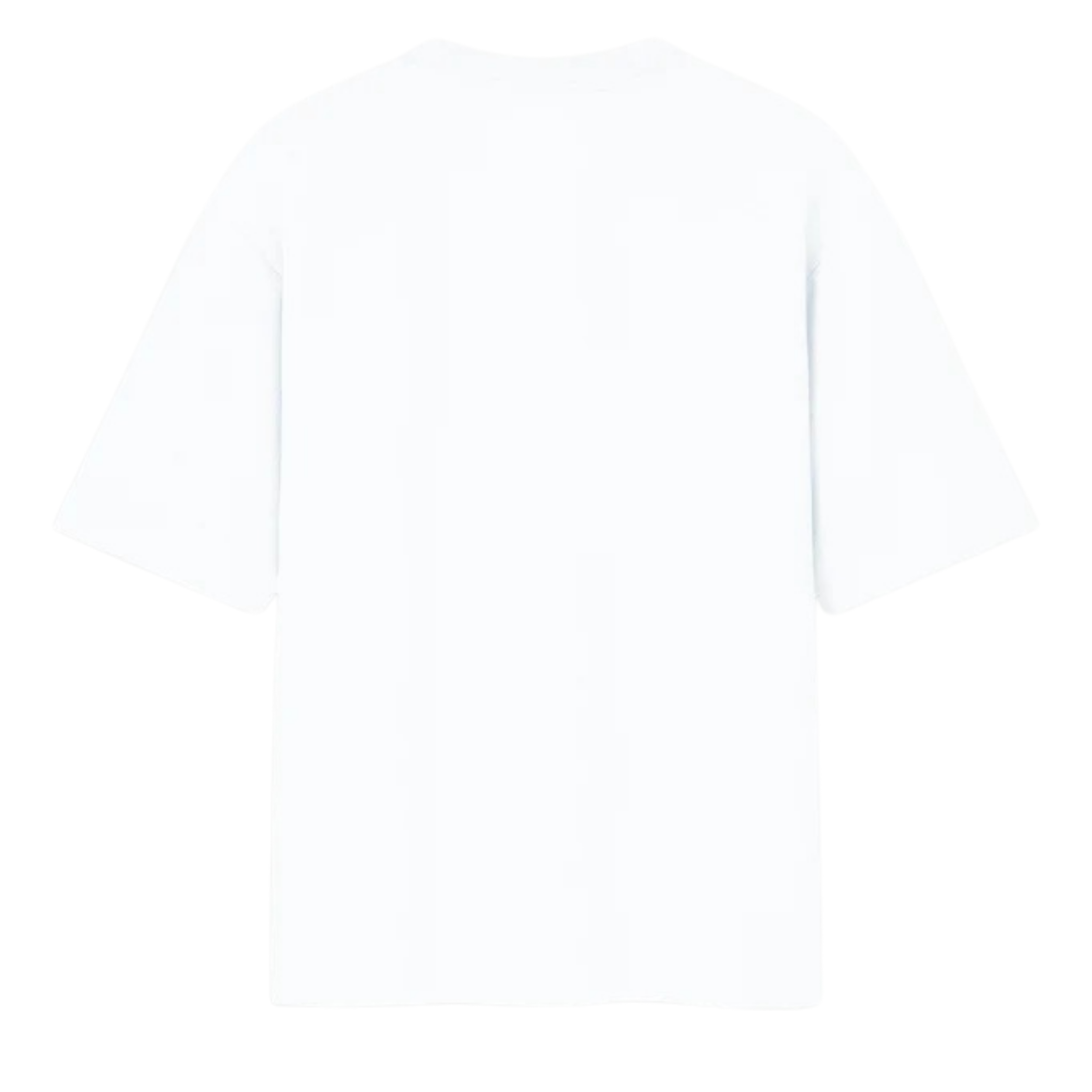 Women's Designer Oversized Standard T-Shirt